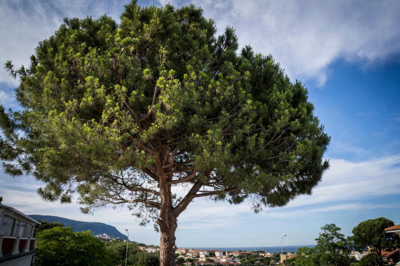 Balconi Del Conero Aparthotel Numana Εξωτερικό φωτογραφία