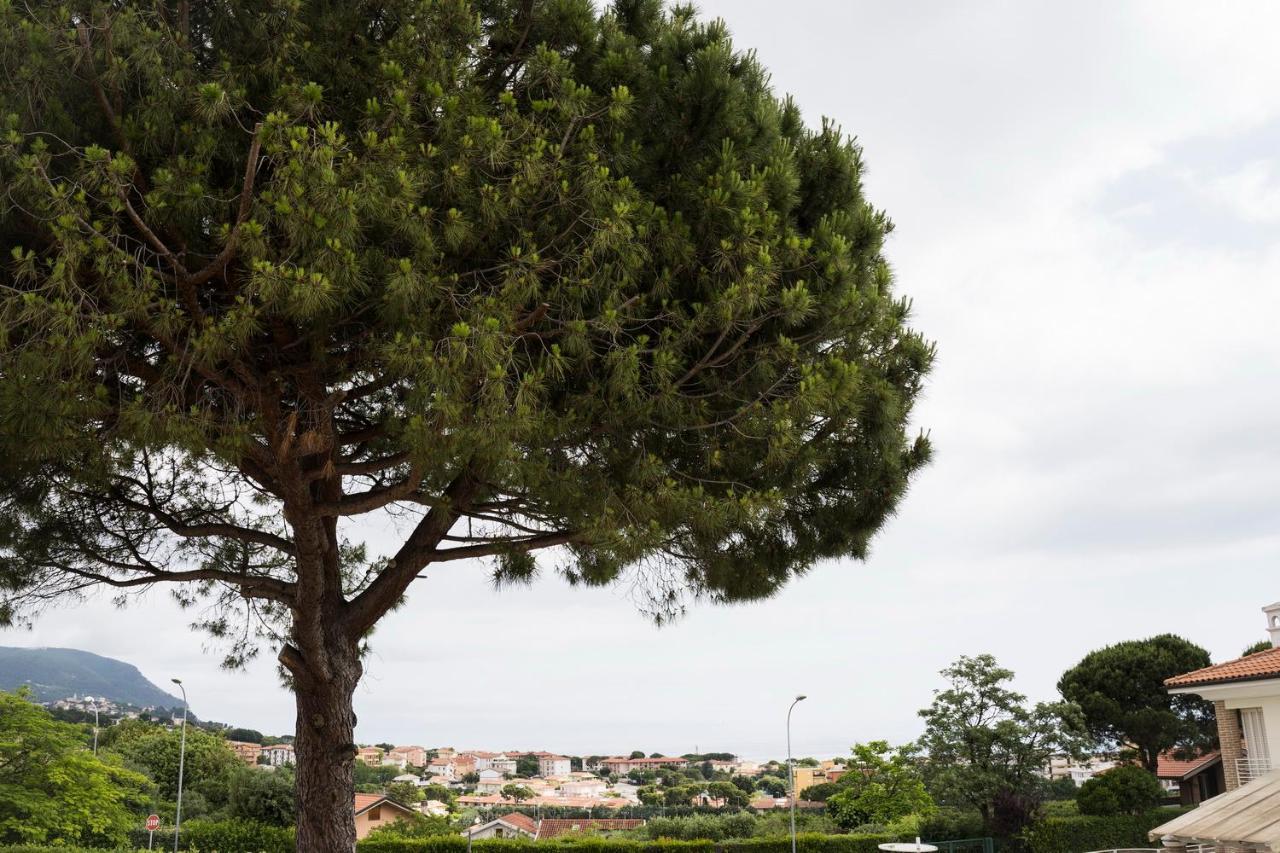 Balconi Del Conero Aparthotel Numana Εξωτερικό φωτογραφία